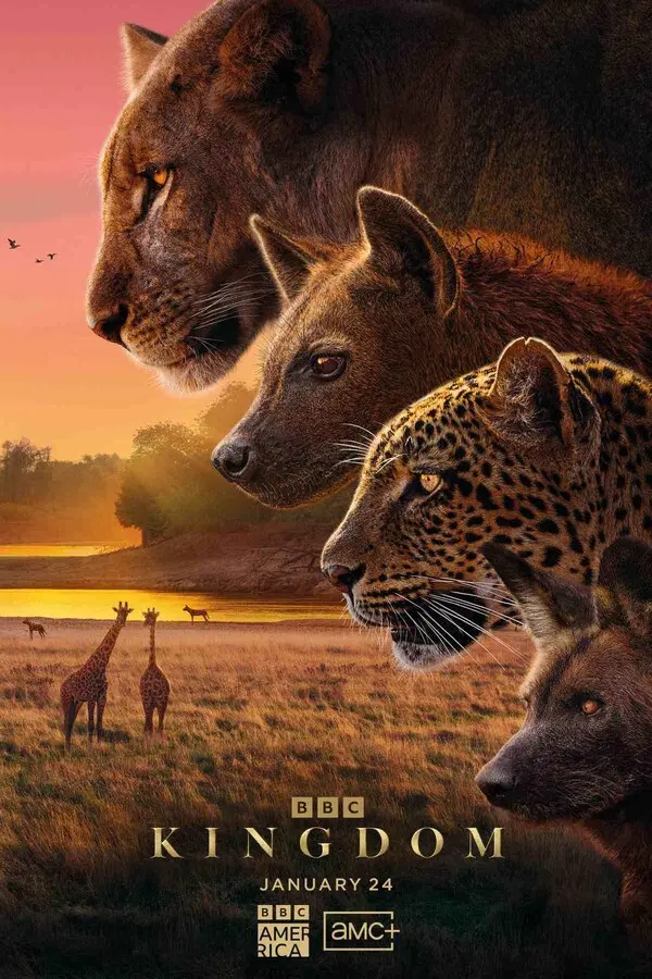 Царство животных